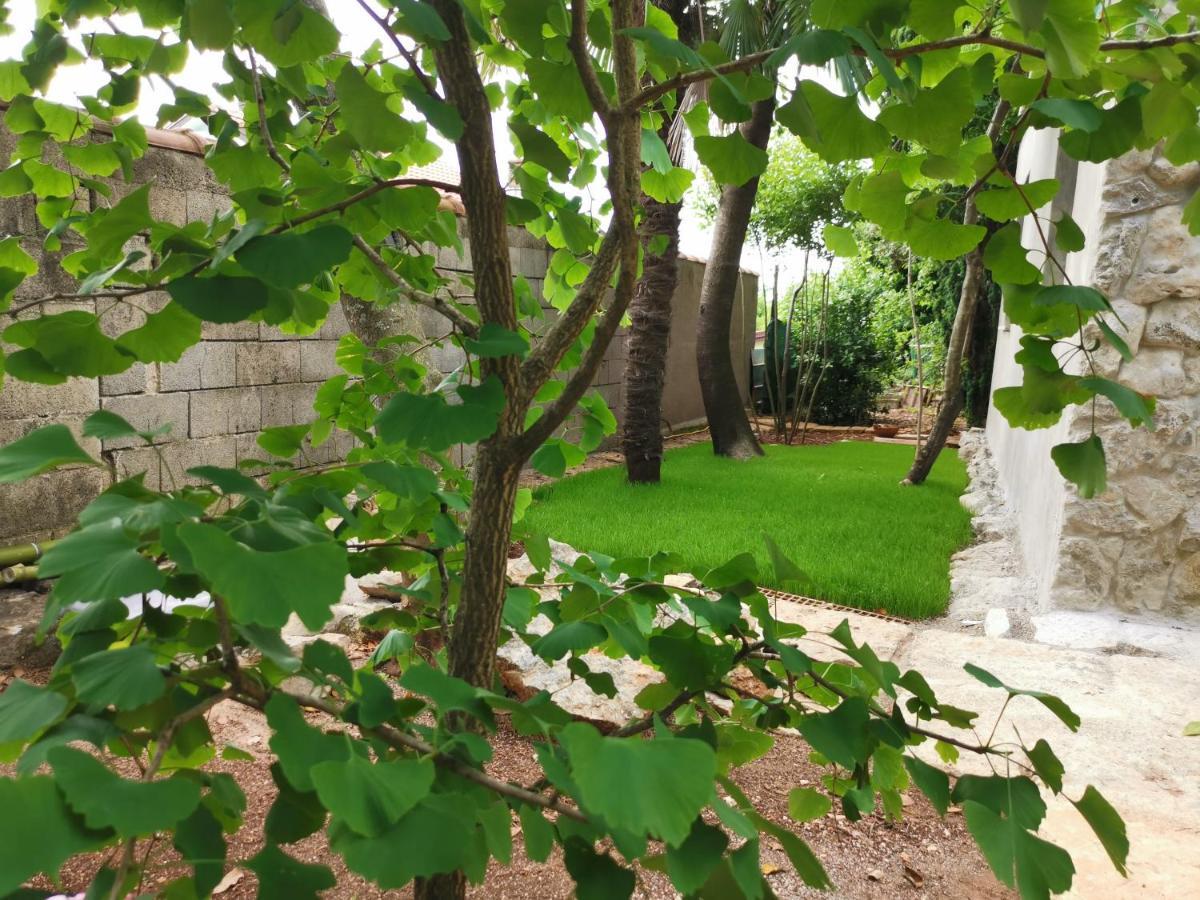 Apartament Ginko House Opatija Zewnętrze zdjęcie