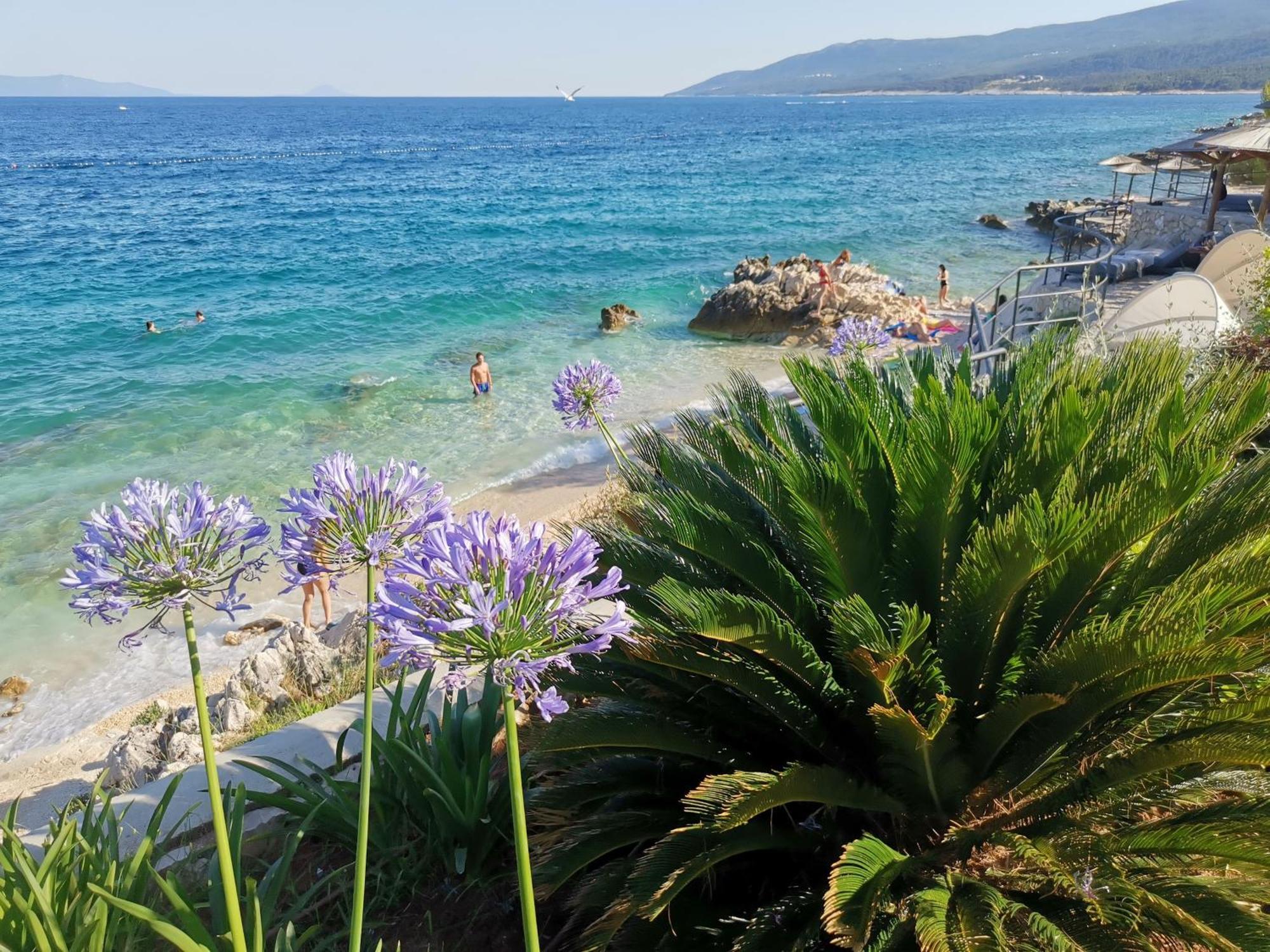 Apartament Ginko House Opatija Zewnętrze zdjęcie