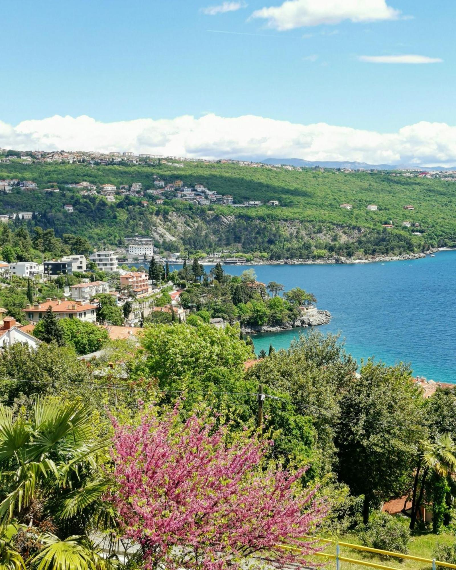 Apartament Ginko House Opatija Zewnętrze zdjęcie